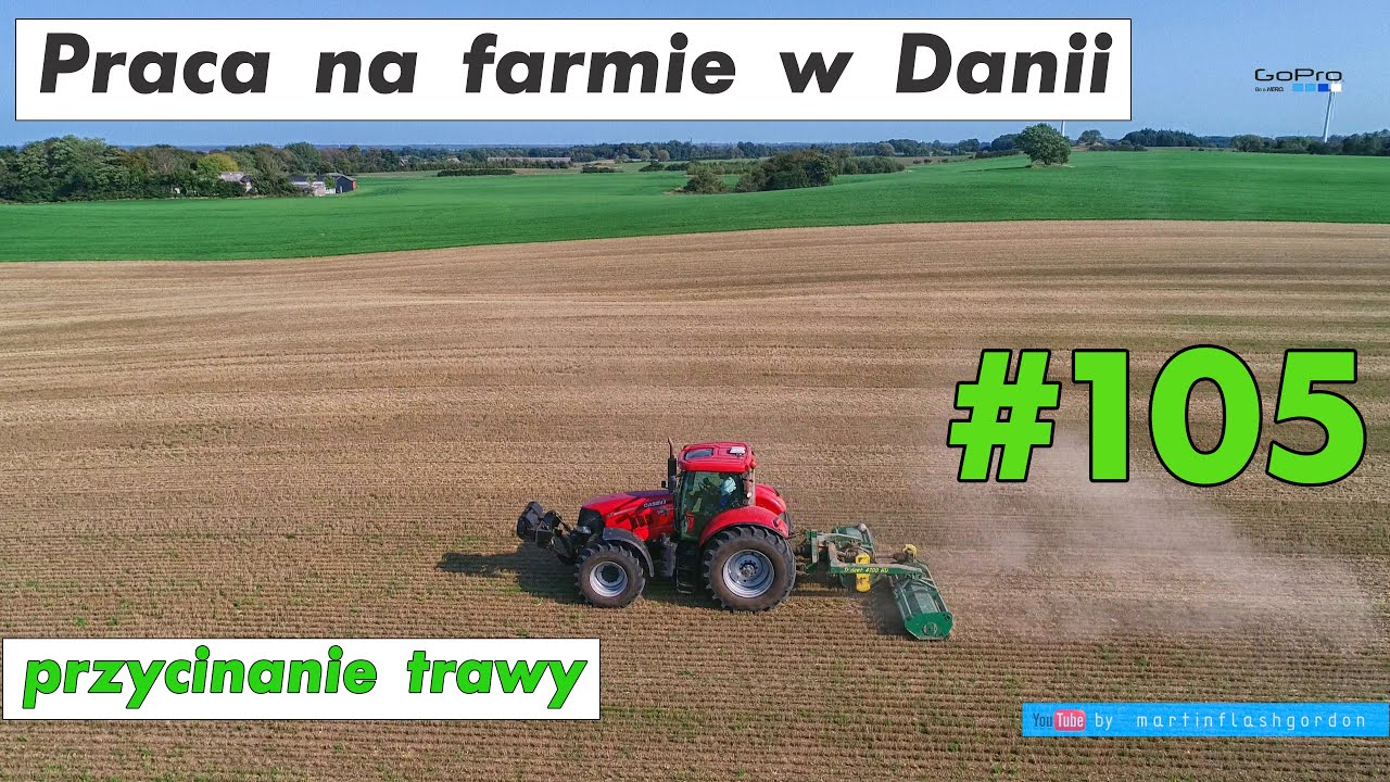 Praca na farmie w Danii #105 | Work on the farm in Denmark #105