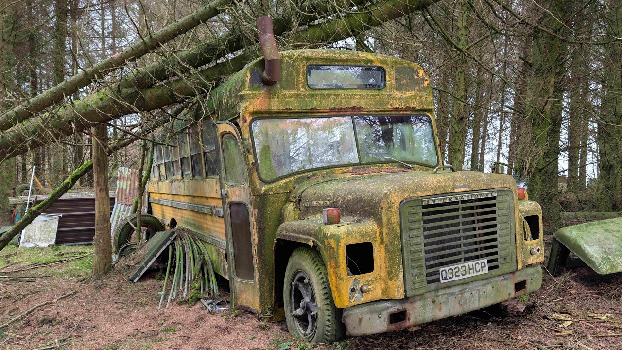 Abandoned vehicles left rotting in the wood`s