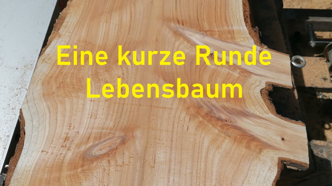 GEILES Holz und auch noch SUPER leicht zu SCHNEIDEN!