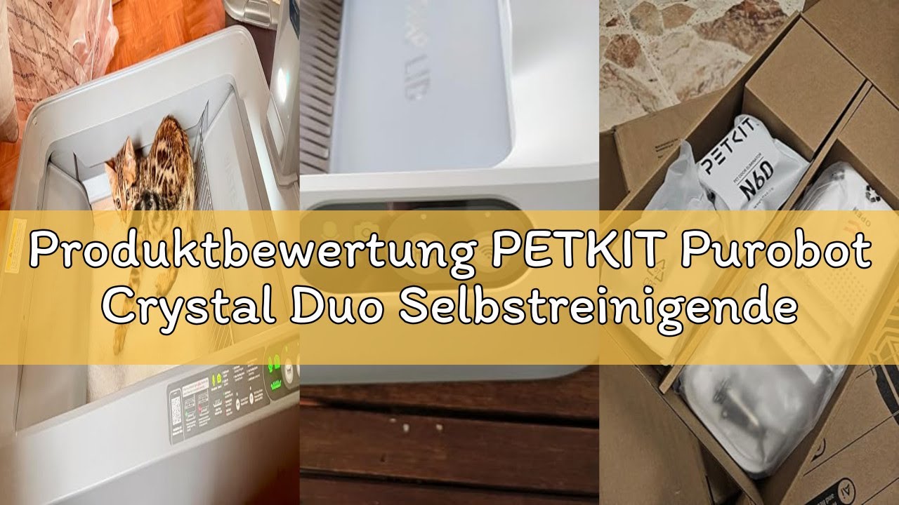 Produktbewertung PETKIT Purobot Crystal Duo Selbstreinigende Katzentoilette mit Kamera, AI-Gesundhei