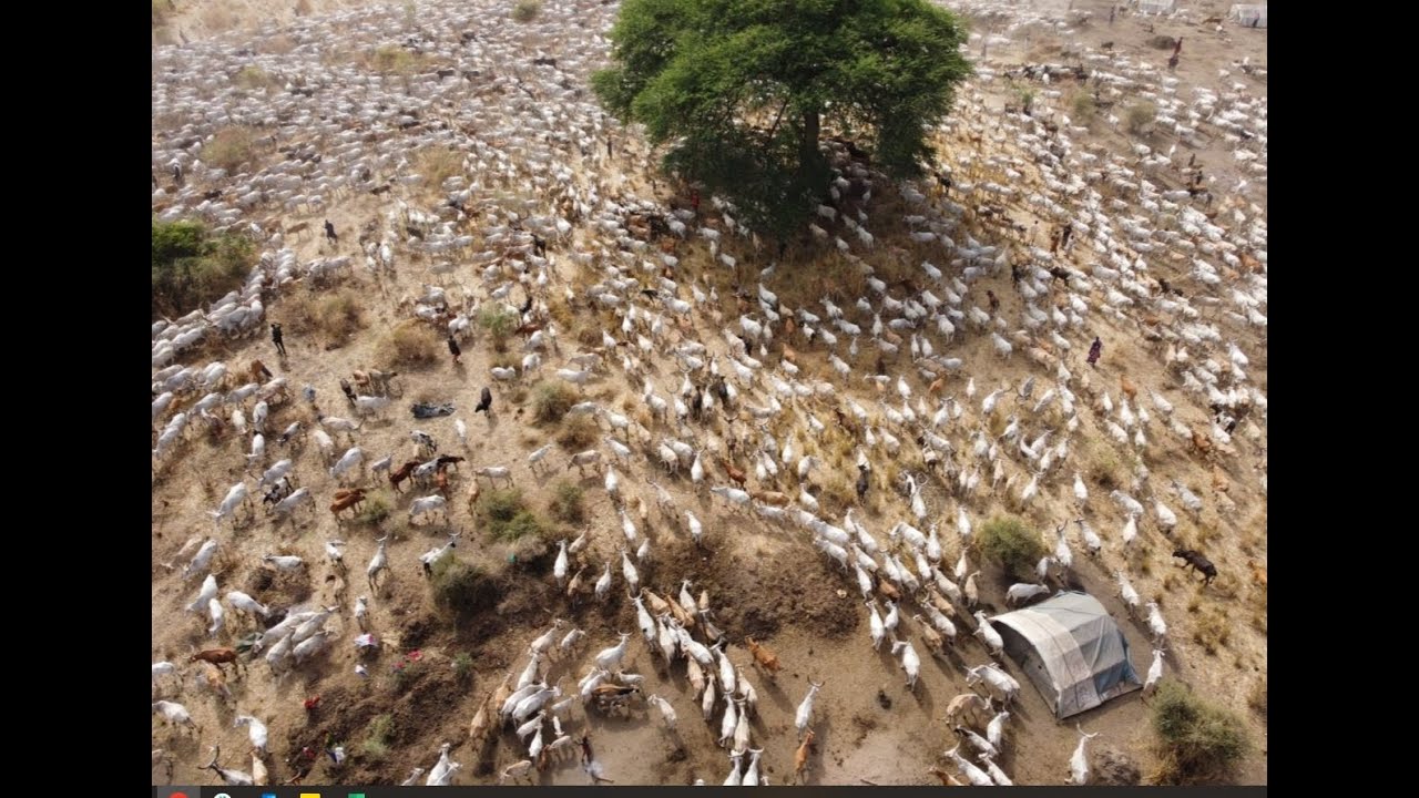 Dinka Bor Cattle Camp, South Sudan - 4K Drone - Long Version
