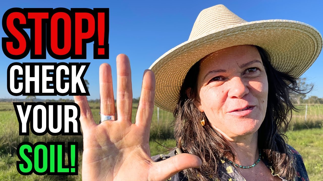 Soil Health in the Paddock: Nicole Masters' Quick Tests That Work