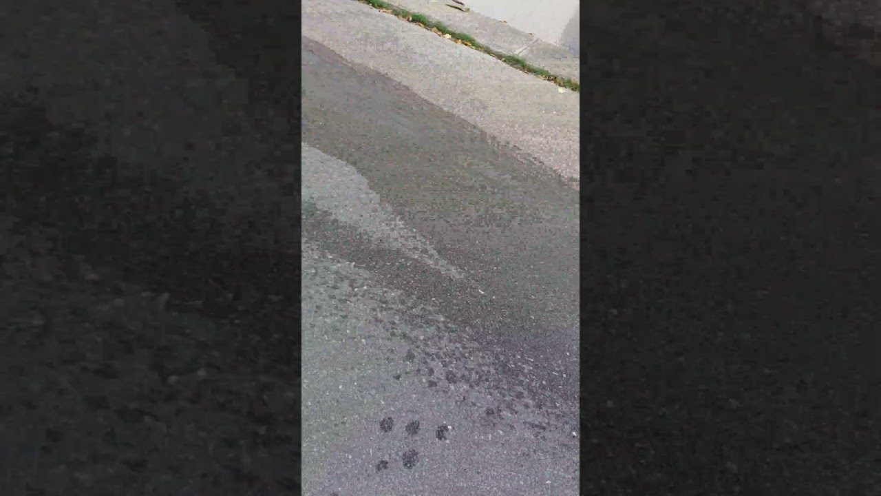 &Zeta;&eta;&mu;&iota;ά &delta;&iota;&kappa;&tau;ύ&omicron;&upsilon; &Delta;&Epsilon;&Upsilon;&Alpha;&Rho; &sigma;&tau;&omicron; &Gamma;&iota;&alpha;&nu;&nu;&omicron;ύ&delta;&iota; &Rho;&epsilon;&theta;ύ&mu;&nu;&omicron;&upsilon;