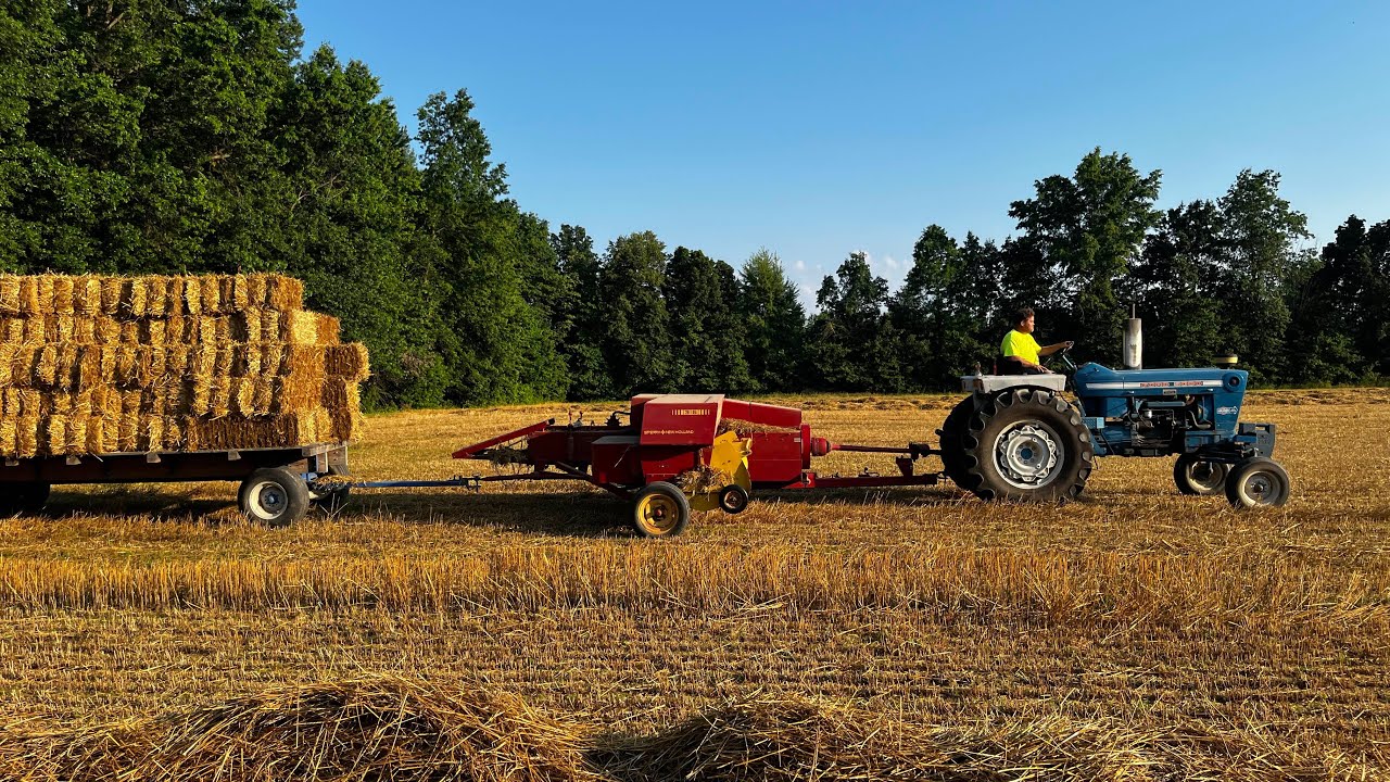 Cutting Wheat and Baling Straw 2025