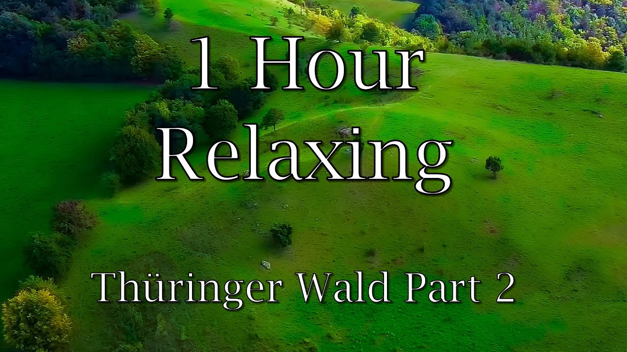 1 Hour Relaxing Forest Part 2