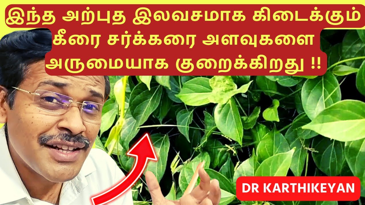 magic soup to reduce sugar: 5 health benefits of drinking spinach soup (Gymnema Sylvestre)