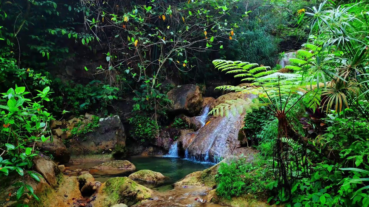 River Sound Relaxing – Relaxing Water Flow with Soft Rain for Sleep and Mind Focus