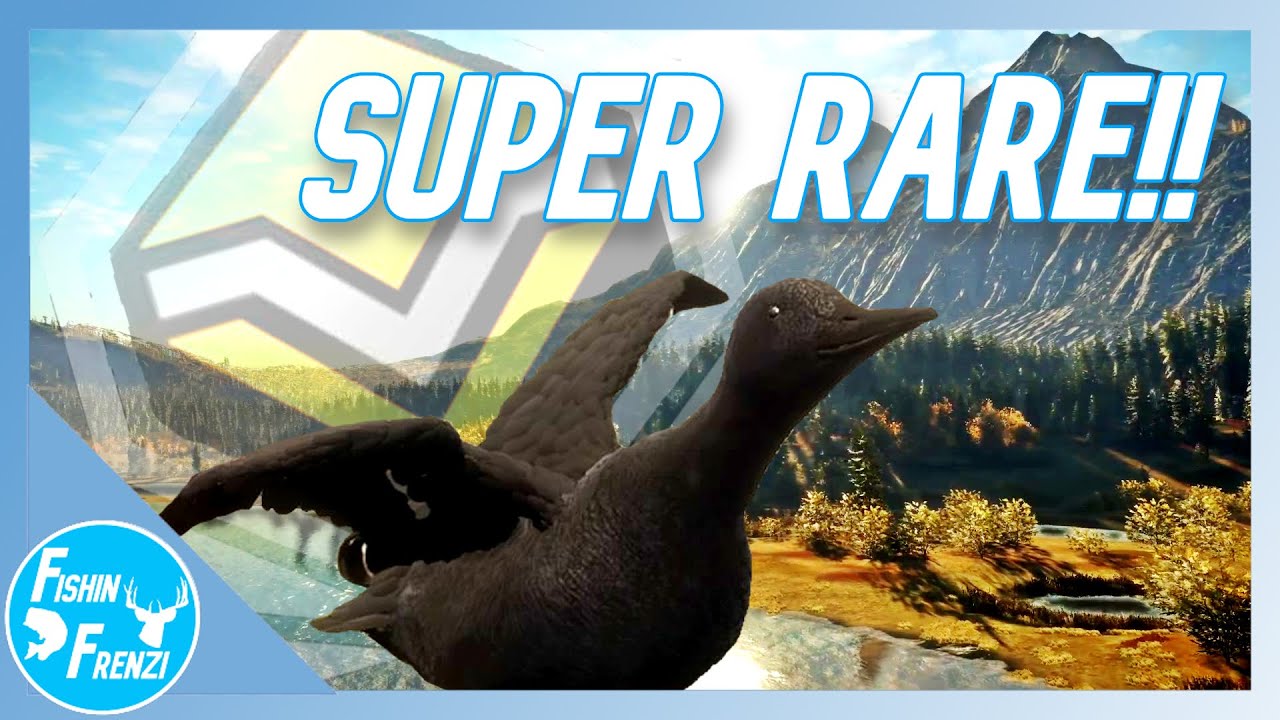 My Very First SUPER RARE!! Melanistic Diamond Mallard Duck!