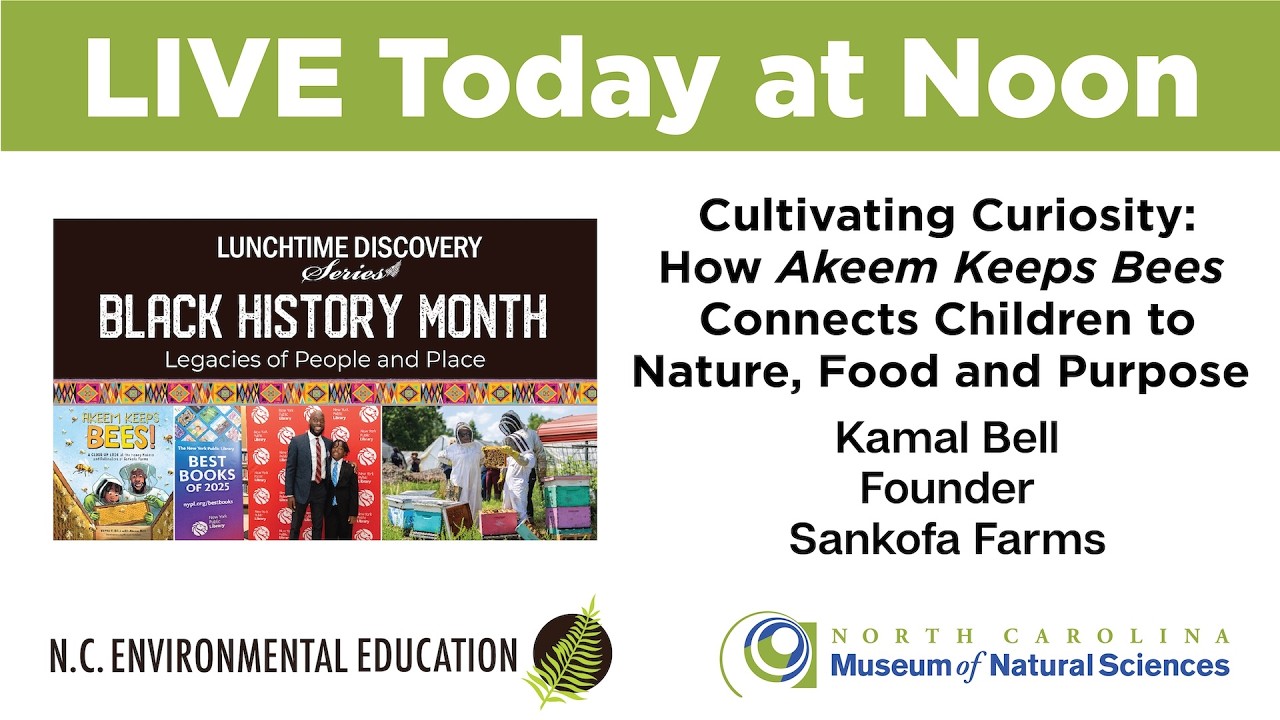 Cultivating Curiosity: How Akeem Keeps Bees Connects Children to Nature, Food and Purpose