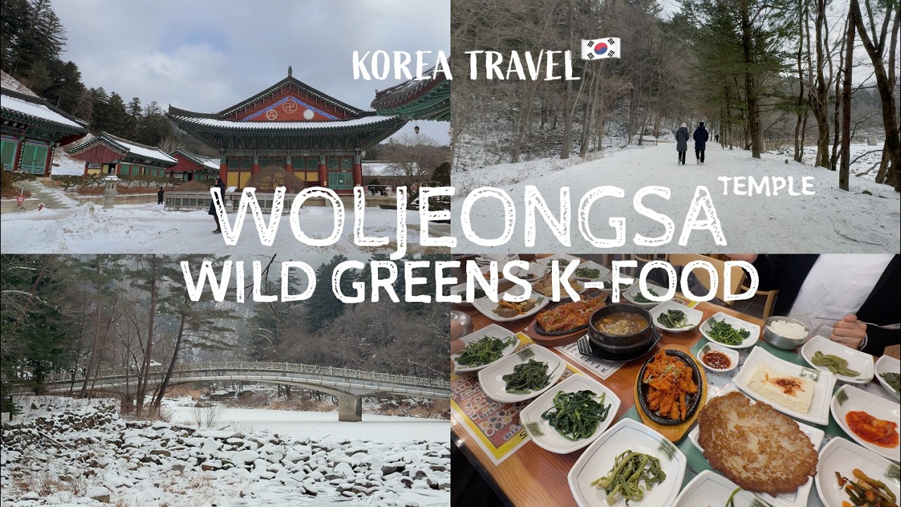 🇰🇷 Woljeongsa Temple Winter | Traditional Wild Mountain Food Pyeongchang