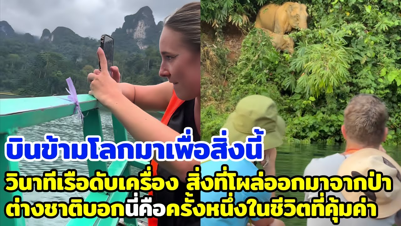 บินข้ามโลกมาเพื่อสิ่งนี้ วินาทีเรือดับเครื่อง สิ่งที่โผล่ออกมาจากป่า ต่างชาติบอกคือครั้งหนึ่งในชีวิต