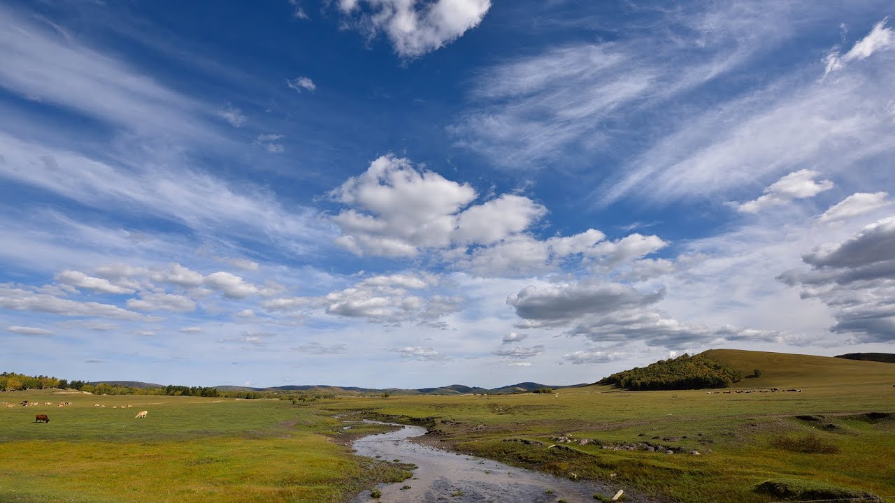 Bashang Grasslands(坝上草原)