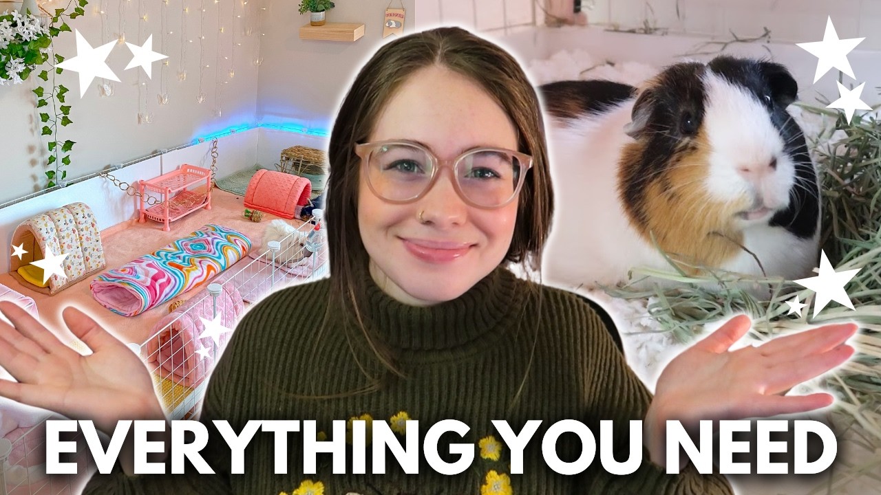 Before You Get Guinea Pigs: Full Shopping List & Care Basics