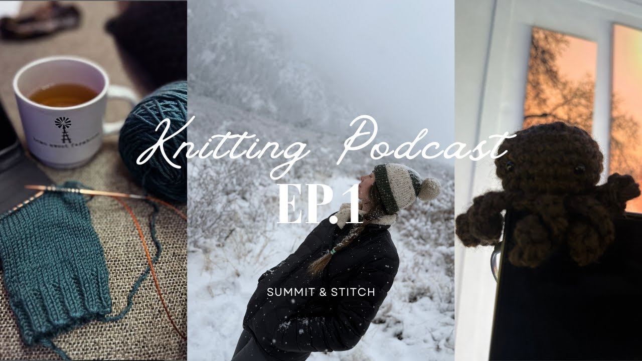 Saguaro National Park, Sock Fails, Stash Busters, and 7 Things I learned In My First Year Knitting