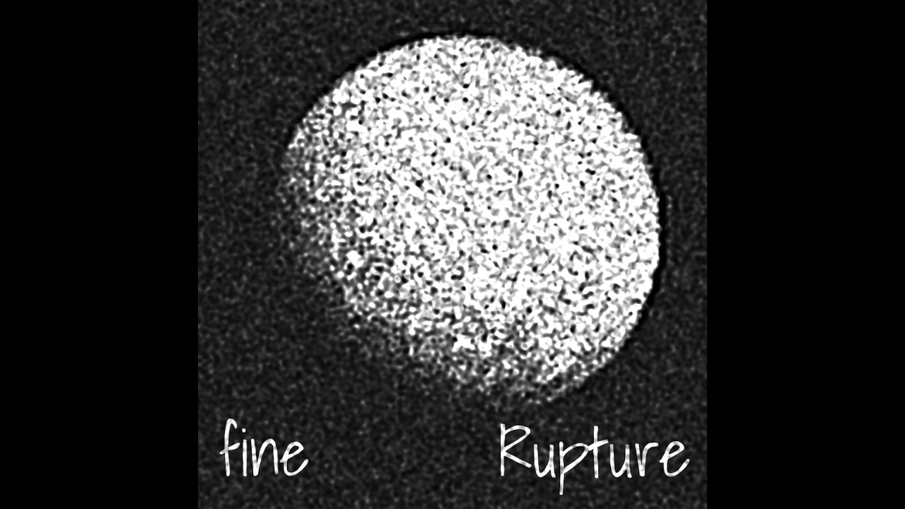 fine - Rupture | (Official Music Video)