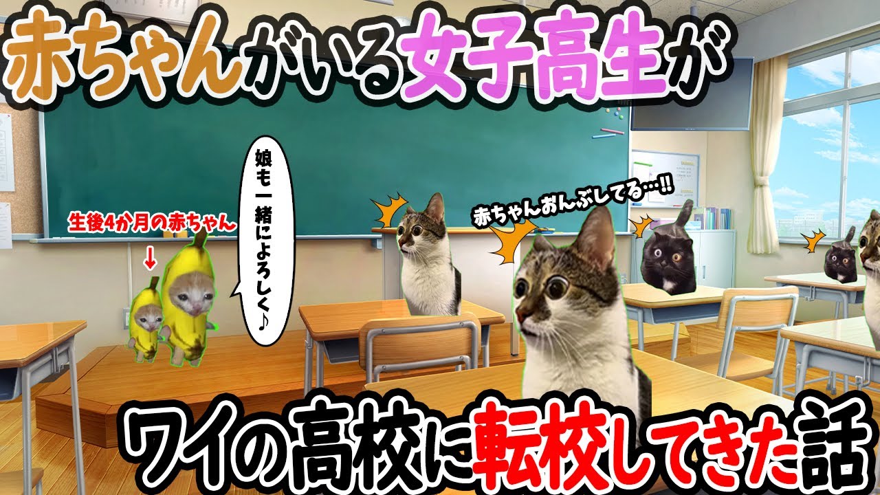 【ほぼ実話】赤ちゃんがいる女子高生が、ワイの高校に転校してきた時の話【猫ミーム】【猫マニ】