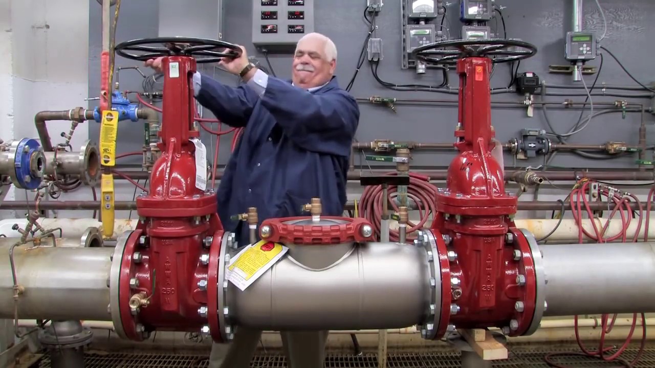 774 & 774DCDA 8''   12'' Backflow Preventer Repair | Watts Repairs
