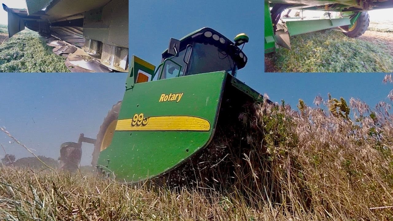Custom Windrowing Alfalfa