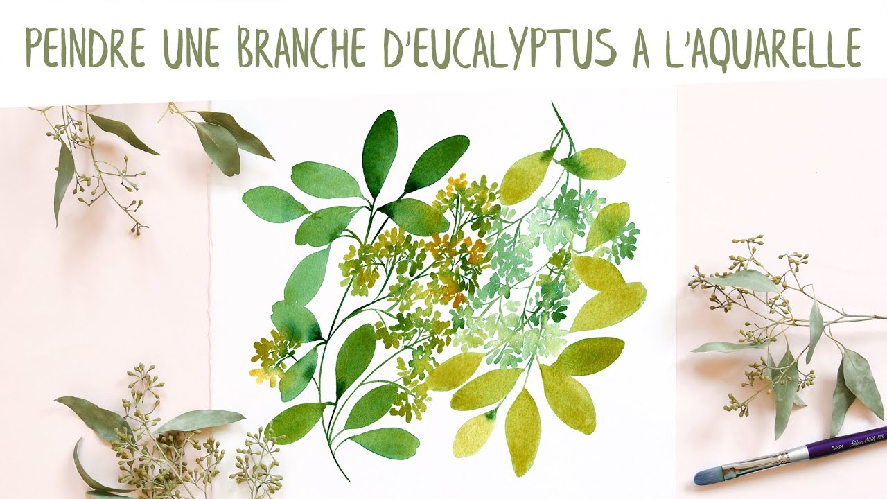 Tutoriel aquarelle : peindre une branche d'eucalyptus 🌿🎨
