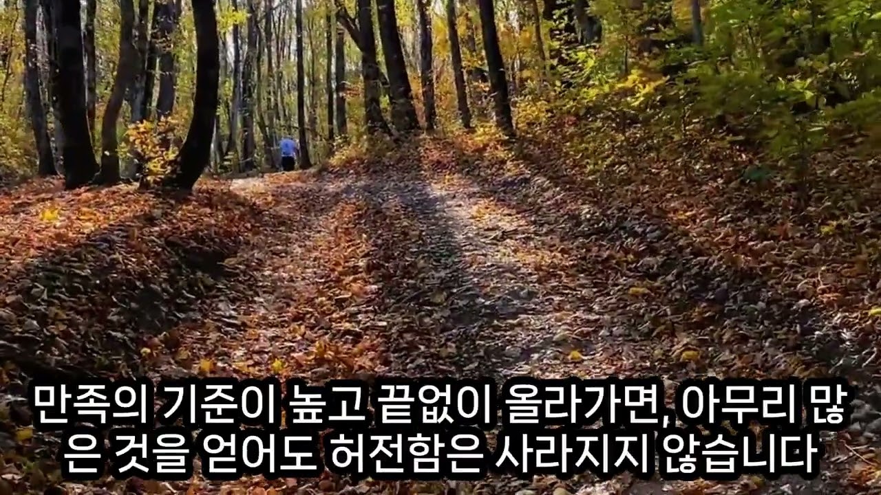 삶의 의의와 만족