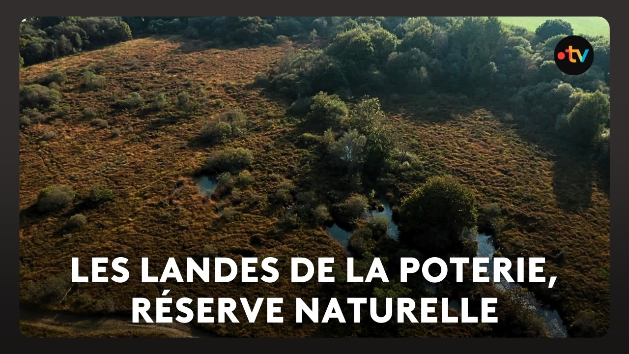 Une nouvelle réserve naturelle régionale en Bretagne : les landes de la poterie, près de Lamballe
