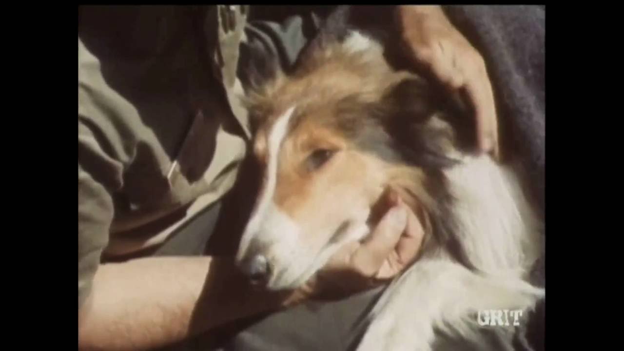 Lassie - Episode #458 - 