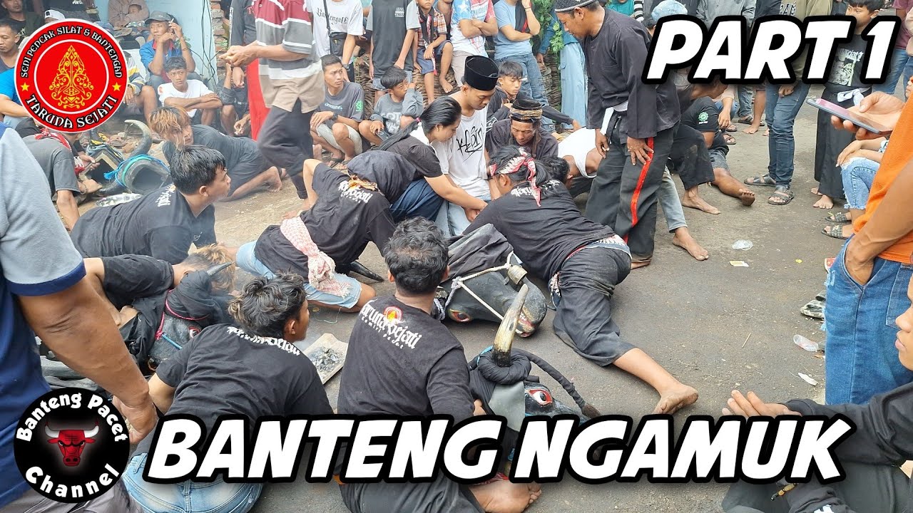 Taruna Sejati ft Kandang Banteng Live Kemiri || Buron Alas & Bantengan (Part 1)