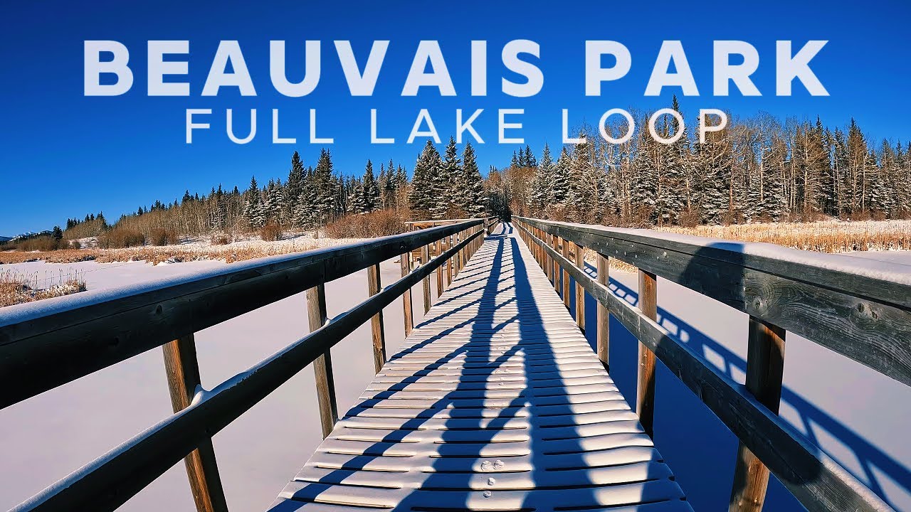 Snowy Lake Trail Run | 4K w/Music - 54min | Virtual Treadmill Workout Scenery | Virtual Run #Alberta