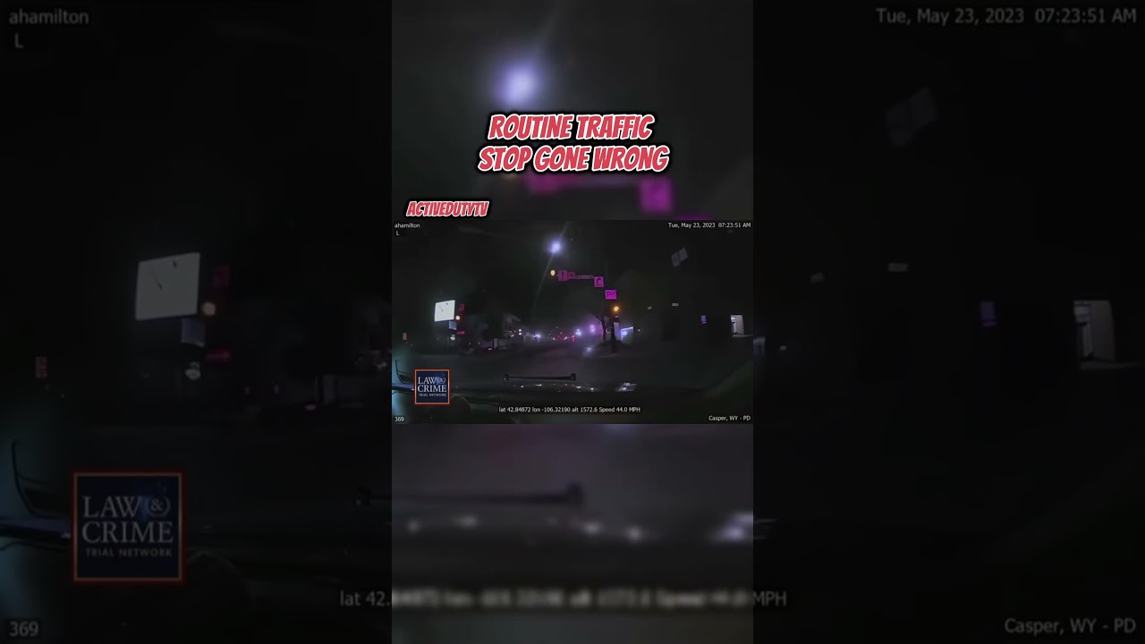 ROUTINE TRAFFIC STOP GONE HORRIBLY WRONG‼️‼️ #cops #police #shorts