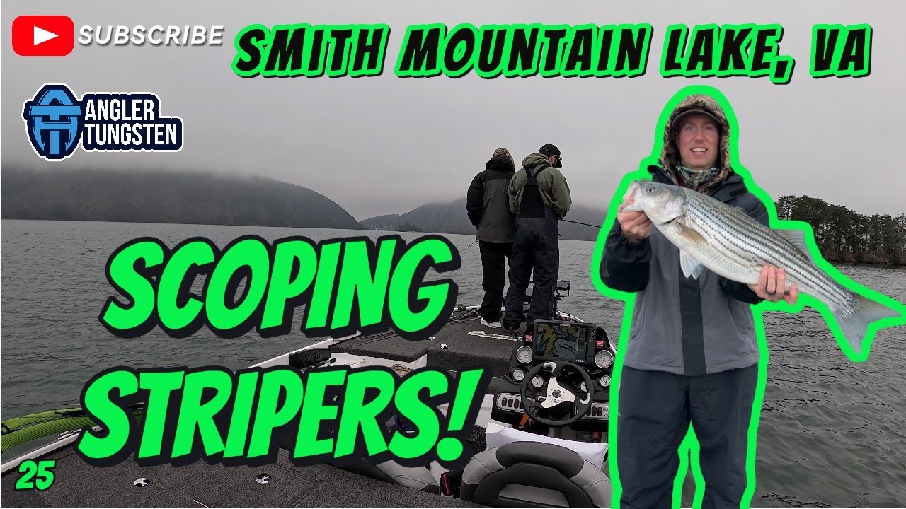 Smith Mountain Lake, VA...Striped Bass Crushing Damiki Rig!.. 🔥 🔥 🔥