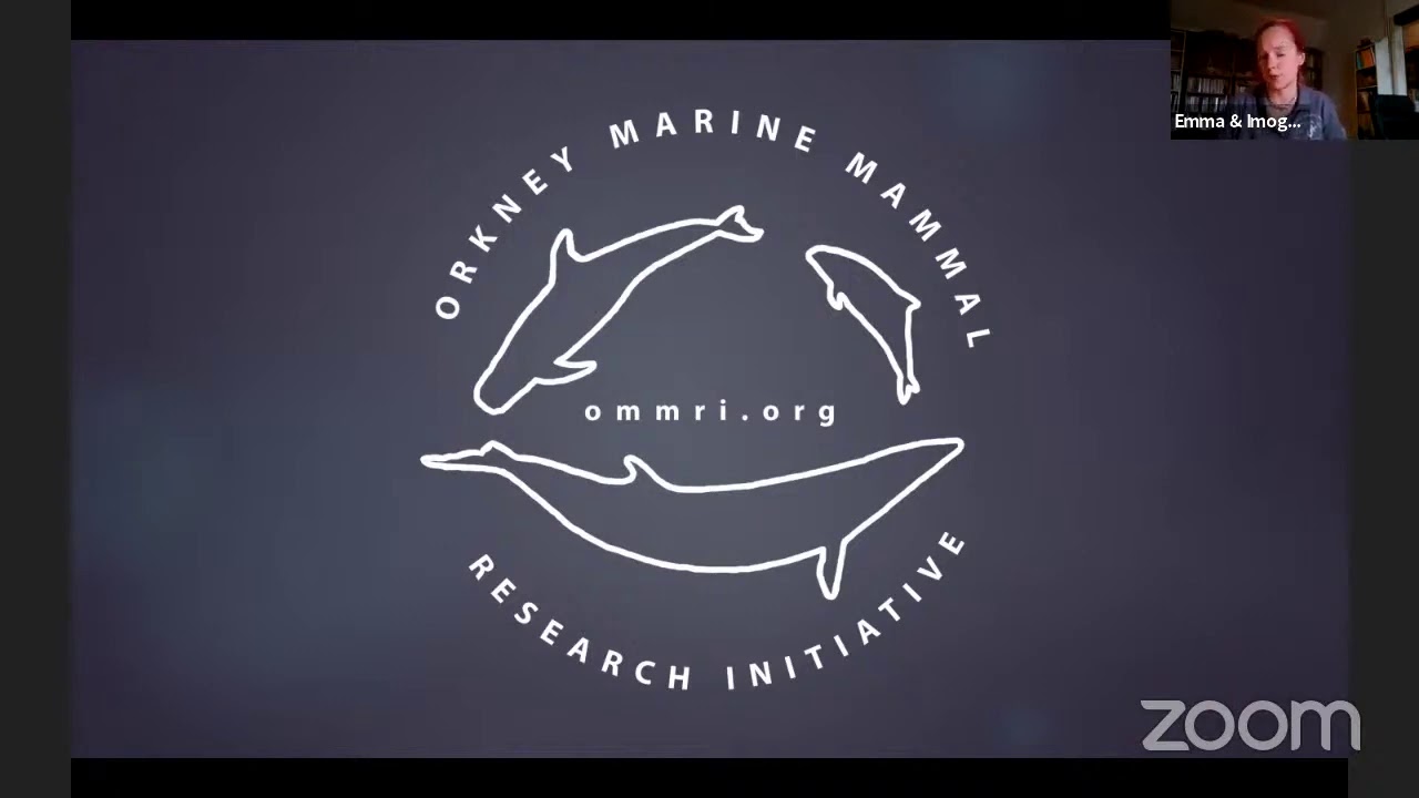 SIGHTING CETACEANS OISF 2020