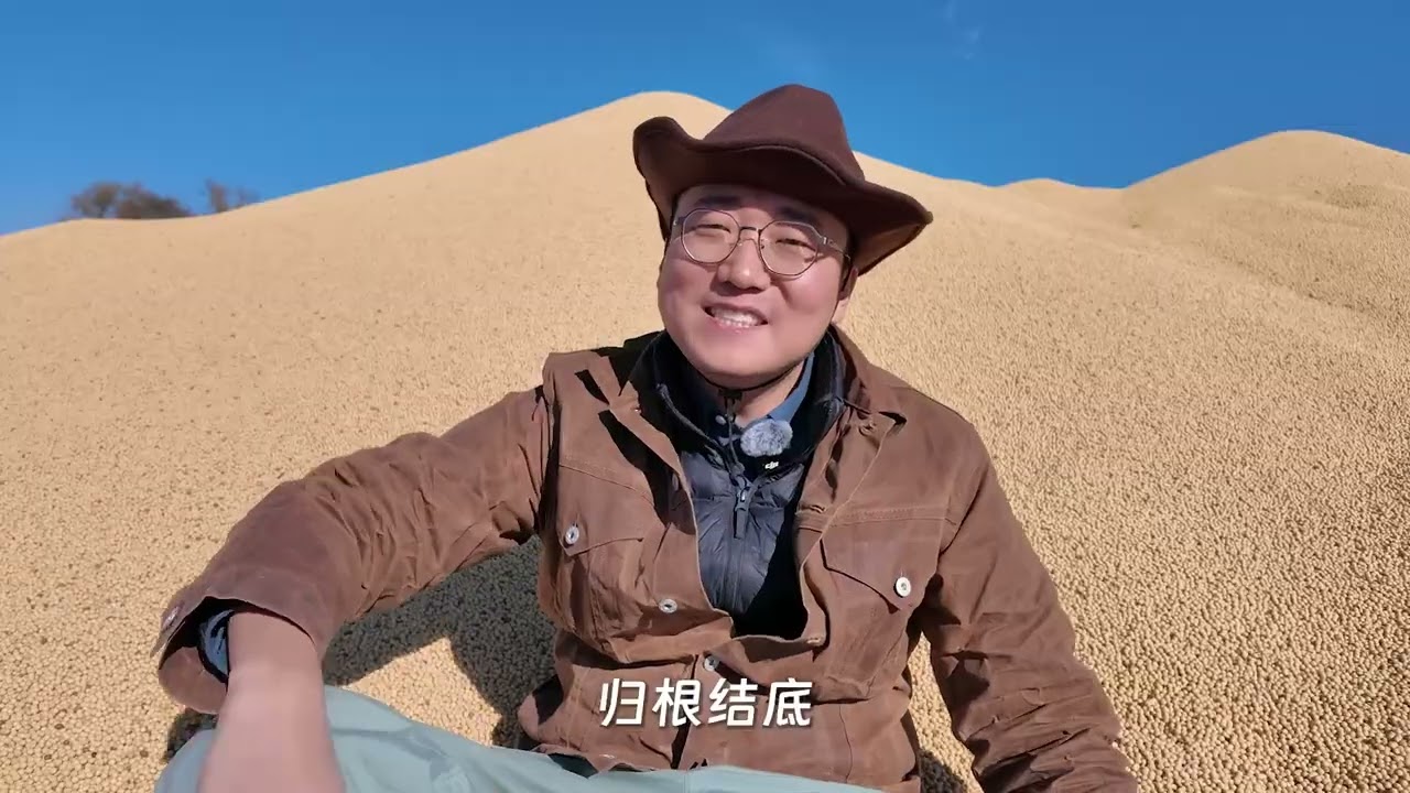 在远东种大豆，是亏还是赚？我的“八十垧农场”详细账本来了!