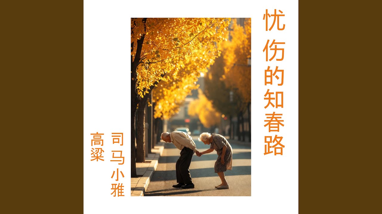 忧伤的知春路Sorrowful ZhiChun Road