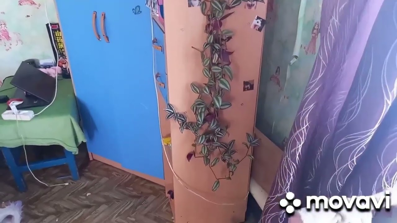 23 февраля 