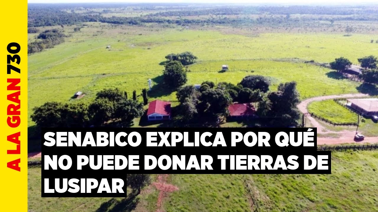 Tierras de Lusipar siguen bajo administración judicial mientras avanza proceso, dice Senabico