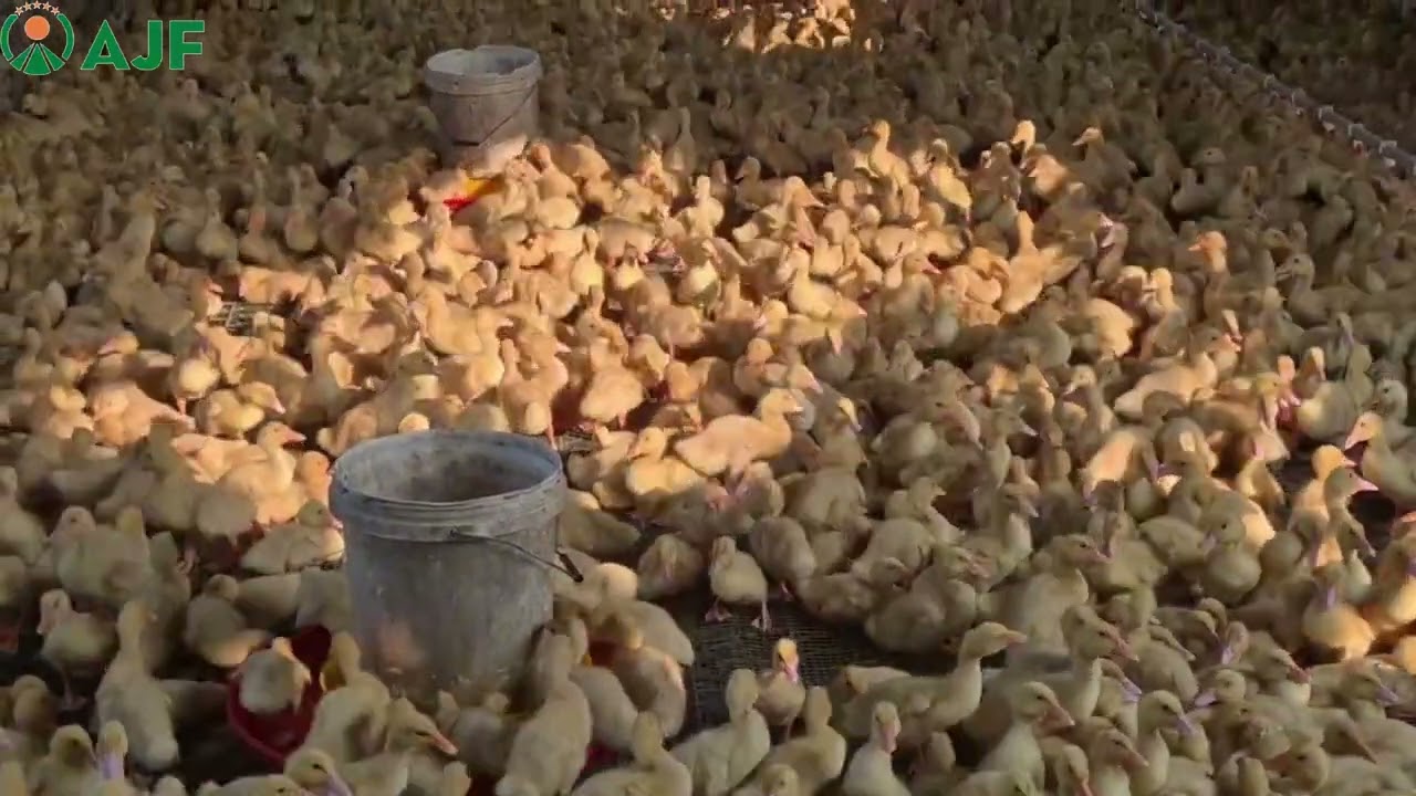 Hãy sợ khi người khác tham và hãy tham khi người khác sợ