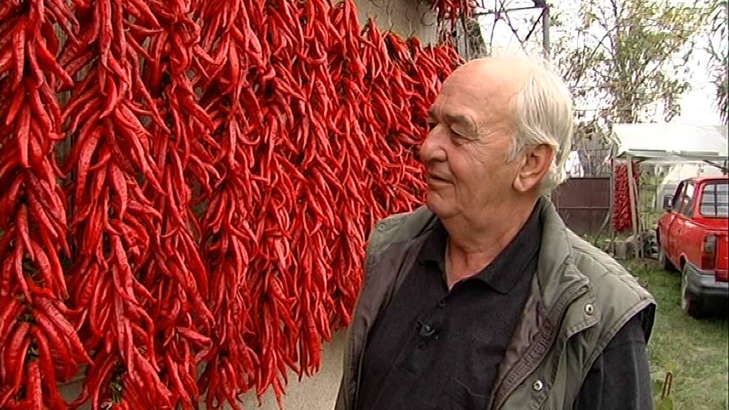 Mag 141117 tajkep paprika