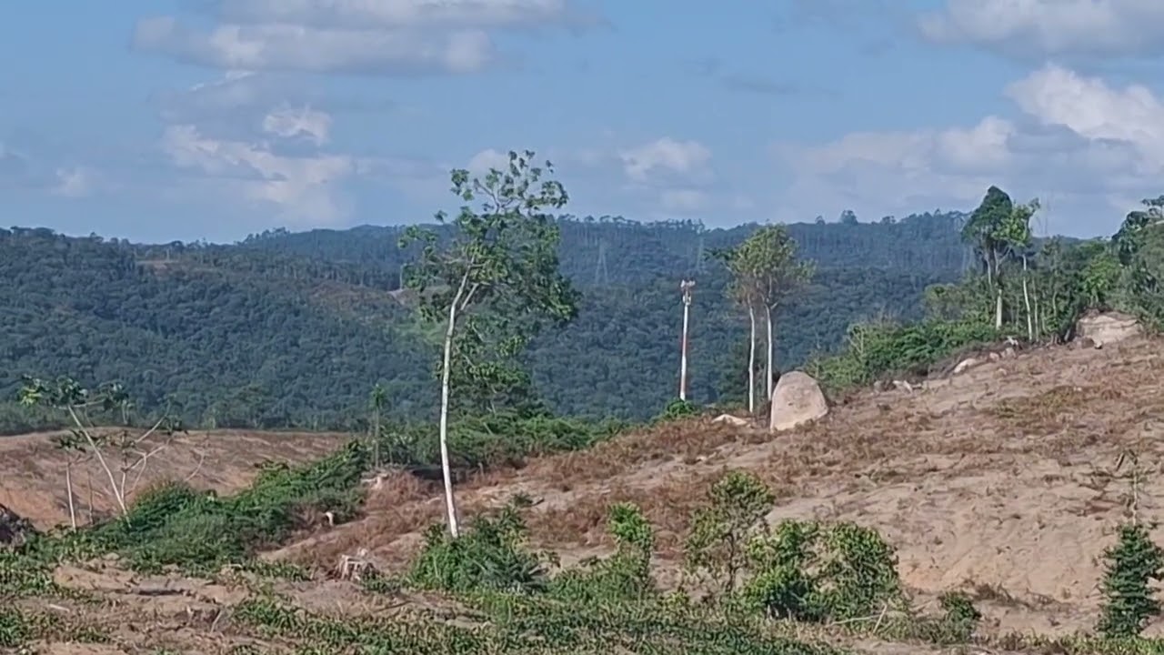 Terreno antigo onde nossos avós moravam..