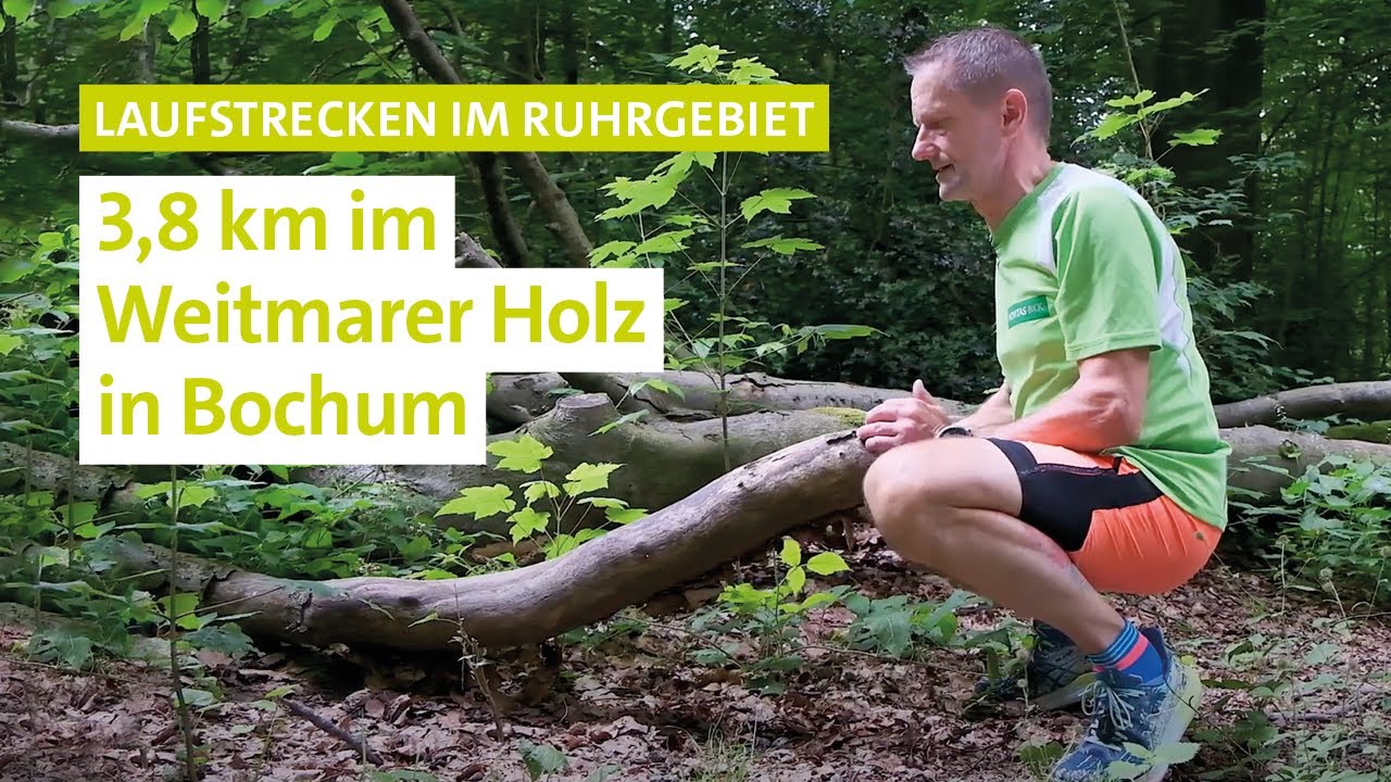Laufen im Ruhrgebiet - 3,8 km im Weitmarer Holz in Bochum
