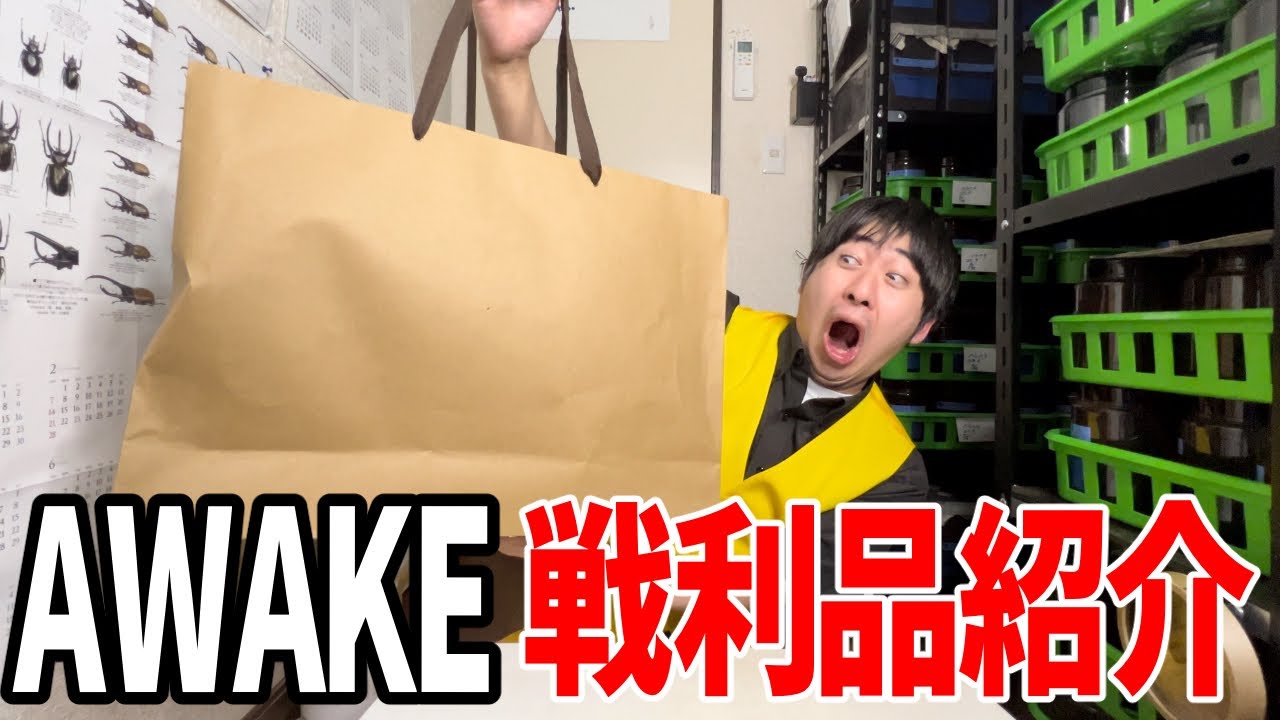 SNSで気になってたあいつをお迎えしました！！！