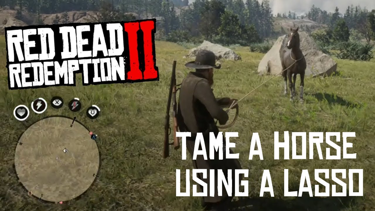 Tame a horse with a lasso / Red Dead Redemption 2