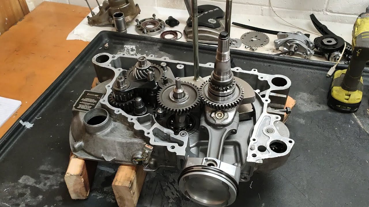 2004 Quest Max 650 engine rebuild part 1