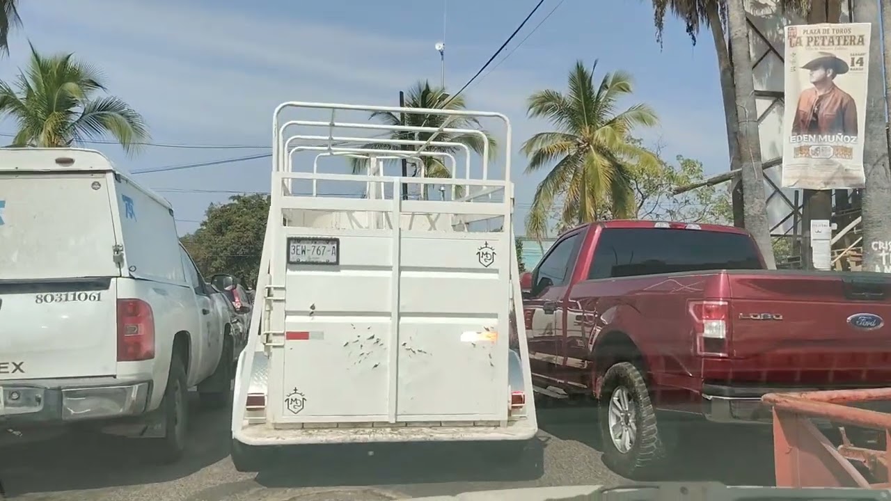 Tablados en camellones en el municipio de villa de Álvarez 2026