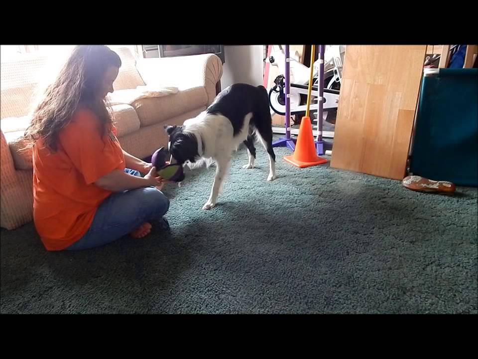 Introducing the Lotus Ball