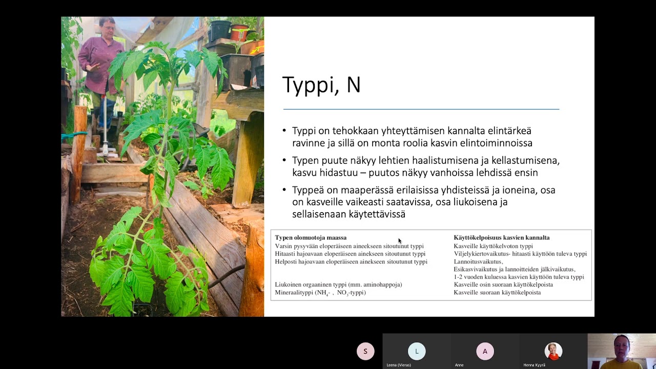 Kotitarveviljely: Omatekoiset luonnonmukaiset lannoitteet 11.6.
