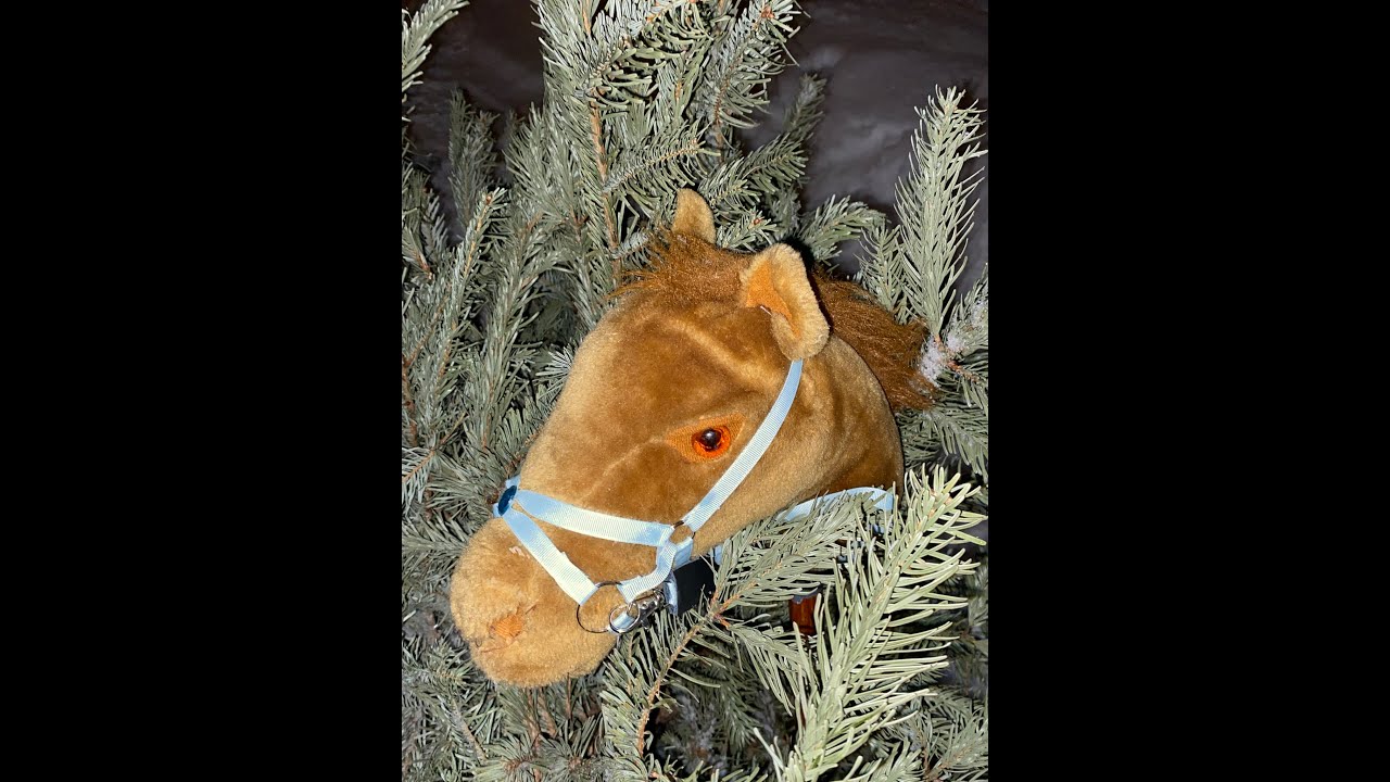 tränar hoppning med Choklad kakan