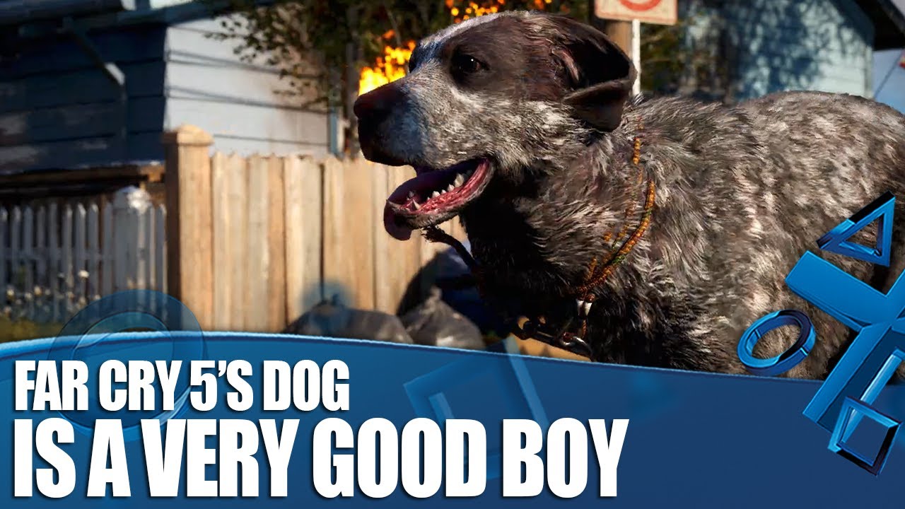 Far Cry 5 - It Has A Dog, And It Is A Good Dog