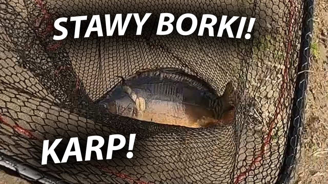 MIAŁA TO BYĆ WYPRAWA LINOWA... STAWY BORKI!