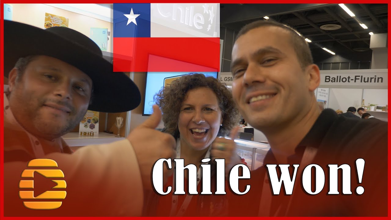 Chile won the bid for Apimondia 2023 - Apicultura en Chile - abejas Apis mellifera