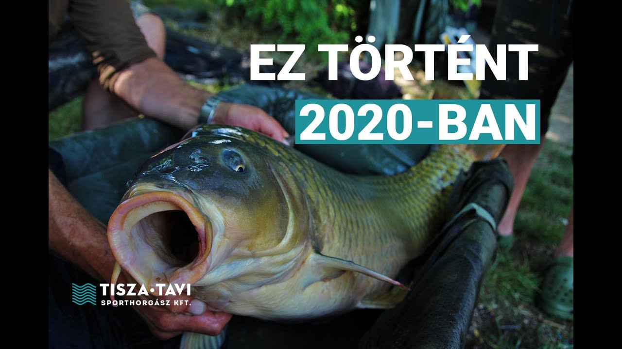 Ez t&ouml;rt&eacute;nt 2020-ban - Tisza-tavi Sporthorg&aacute;sz Kft.